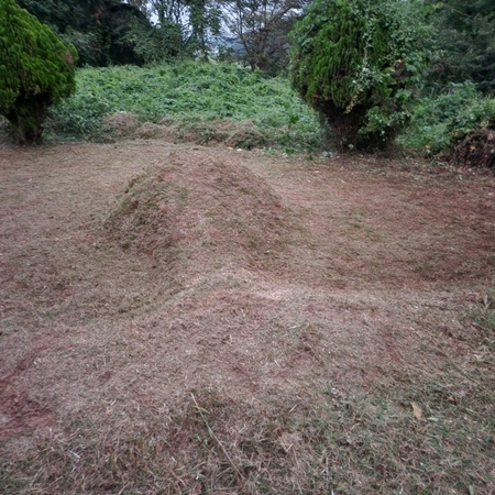 놀뫼장의사 PC 이미지 6110077