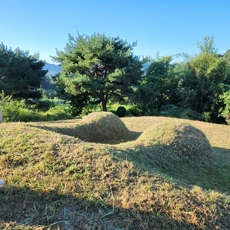 놀뫼장의사 PC 이미지 6110076