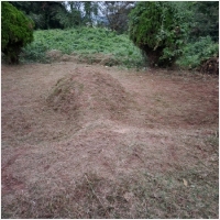 보은묘지관리-6110077