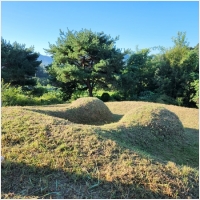 보은묘지관리-6110076